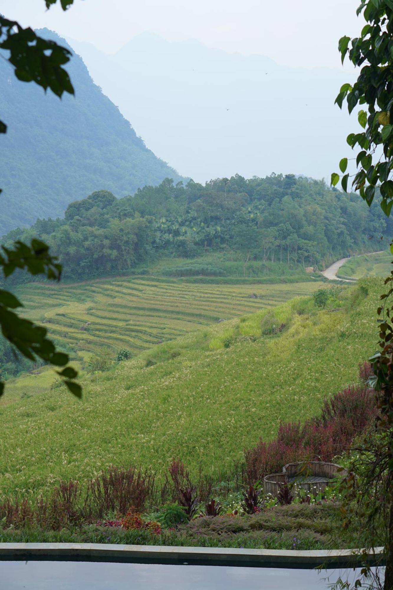 Pu Luong Natura Екстер'єр фото