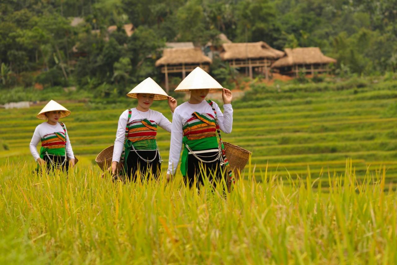 Pu Luong Natura Екстер'єр фото
